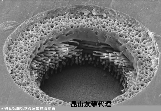 邢台蔡司邢台扫描电镜